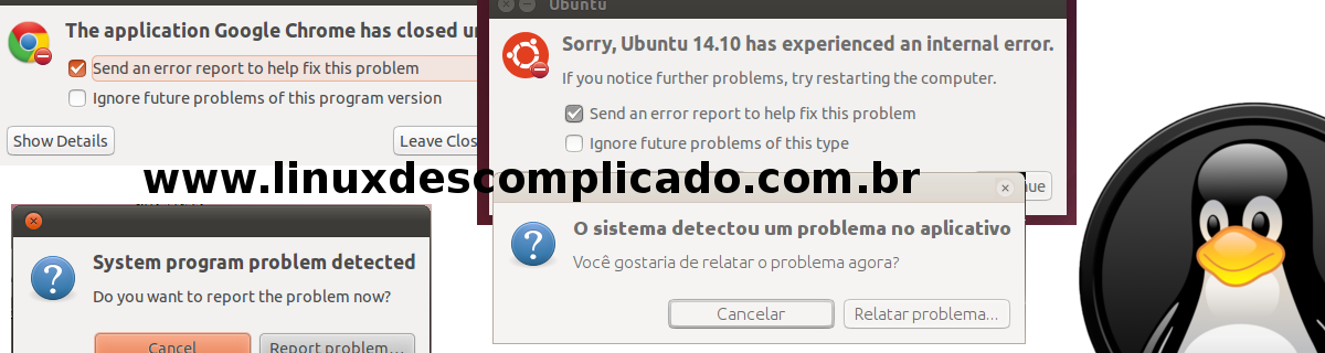 reportar-bug