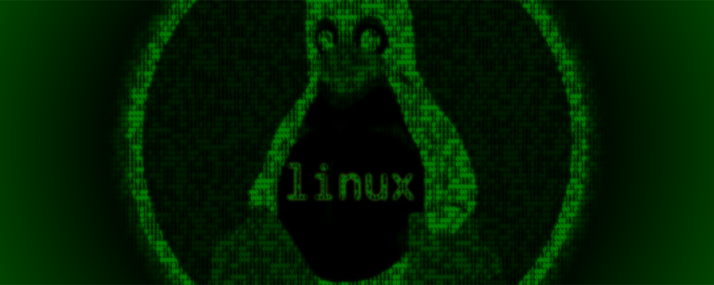 Terminal-Linux