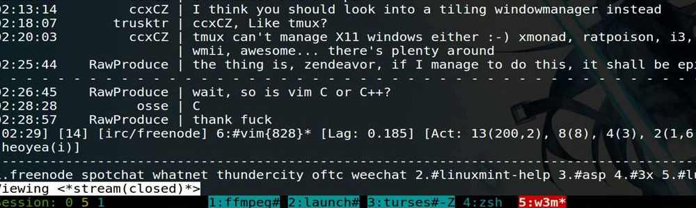 W3M-navegar-internet-Linux-Descomplicado