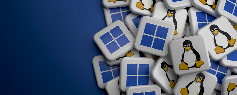 Linux ou Windows: Guia completo para você fazer a escolha certa | Linux ...